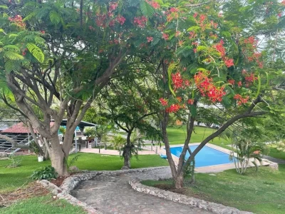 🌴 TERRENO DE 500 m² EN FRACC. EL CHAPARRAL | CASA CLUB + ALBERCA | $500 MIL