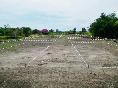 🌳✨ LOTES DE 200 m² EN CUAUTLA | DESDE $160 MIL + PLANES A MESES