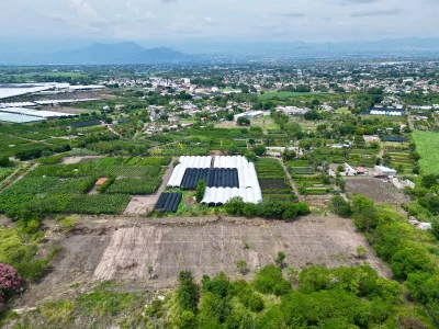 🌳✨ LOTES DE 200 m² EN CUAUTLA | DESDE $160 MIL + PLANES A MESES
