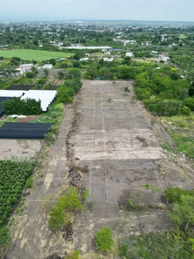 🌳✨ LOTES DE 200 m² EN CUAUTLA | DESDE $160 MIL + PLANES A MESES