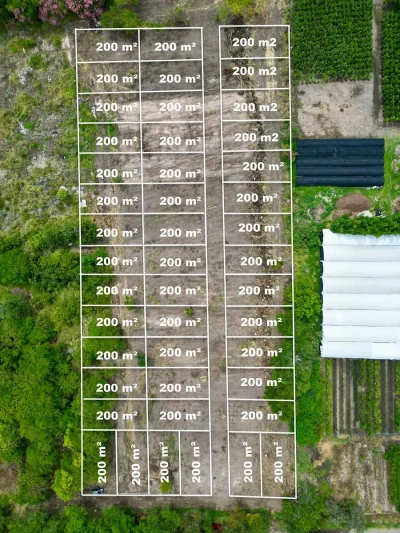 🌳✨ LOTES DE 200 m² EN CUAUTLA | DESDE $160 MIL + PLANES A MESES