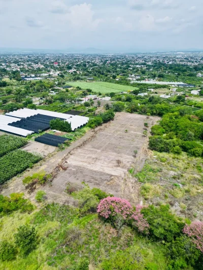 🌳✨ LOTES DE 200 m² EN CUAUTLA | DESDE $160 MIL + PLANES A MESES