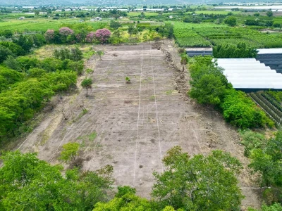 🌳✨ LOTES DE 200 m² EN CUAUTLA | DESDE $160 MIL + PLANES A MESES