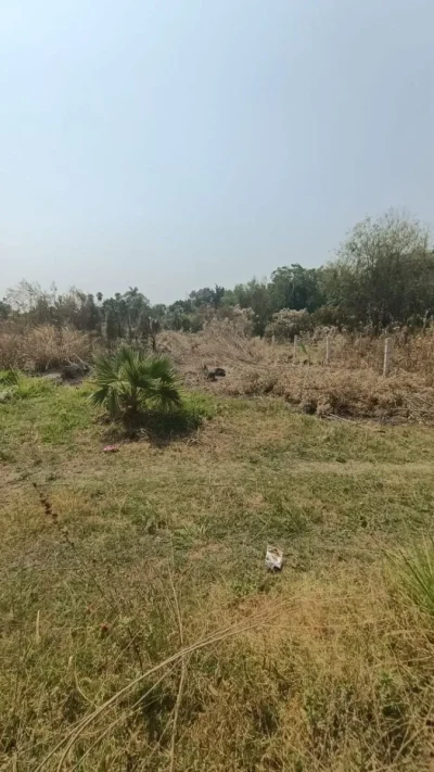 🌳✨ TERRENO DE 264 m² EN CUAUTLIXCO, CUAUTLA | AGUA + LUZ | $330 MIL