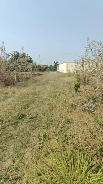 🌳✨ TERRENO DE 264 m² EN CUAUTLIXCO, CUAUTLA | AGUA + LUZ | $330 MIL